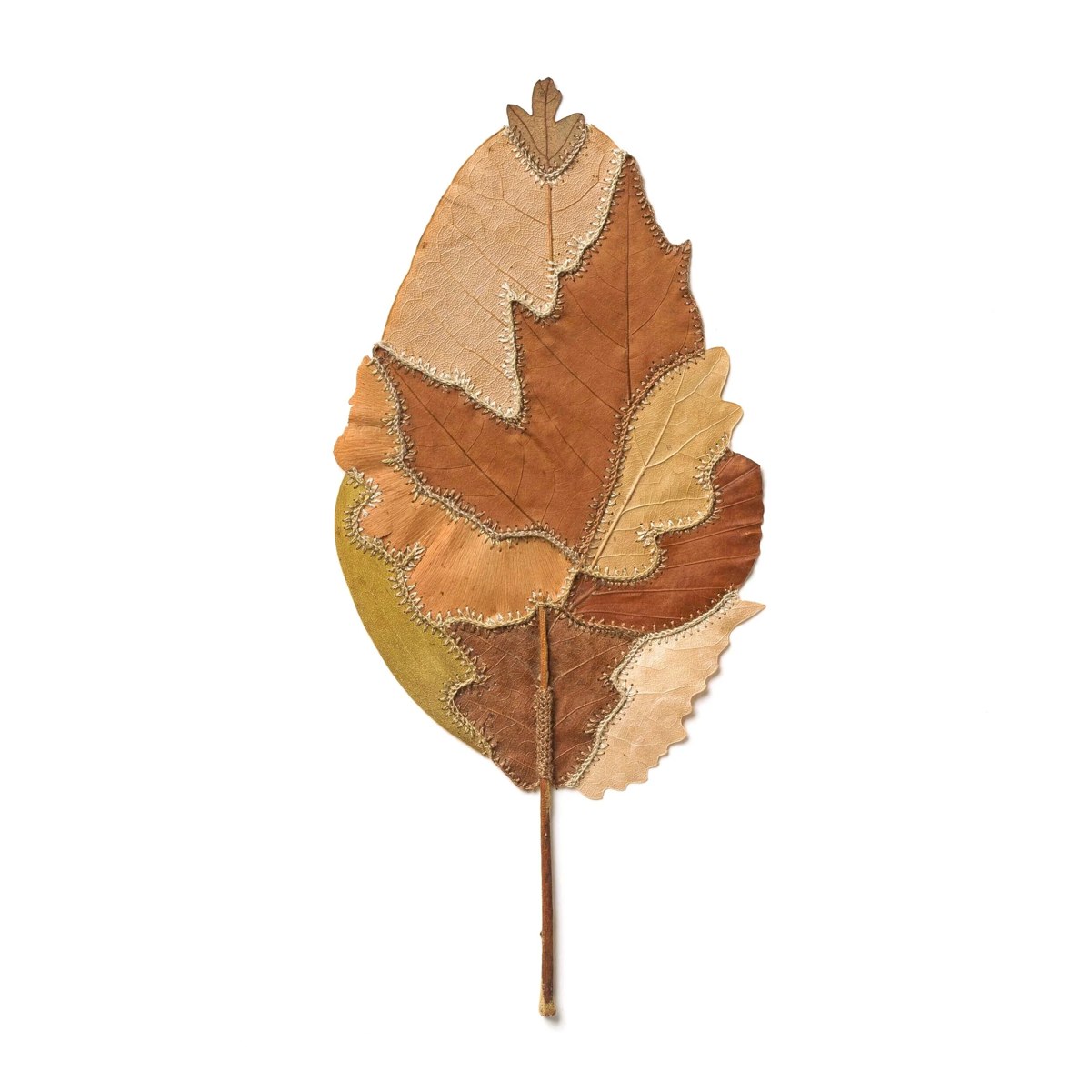 One — leaves and cotton thread