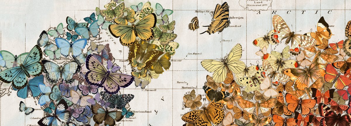 Butterfly collage map art