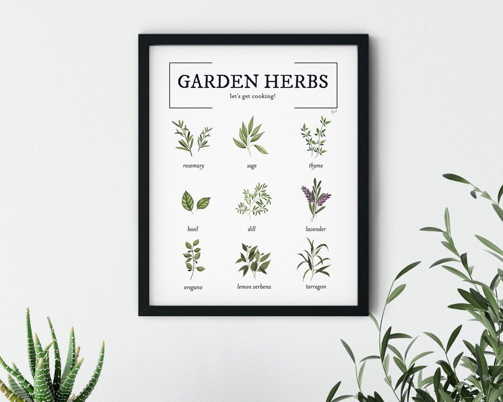 Garden herbs watercolor print