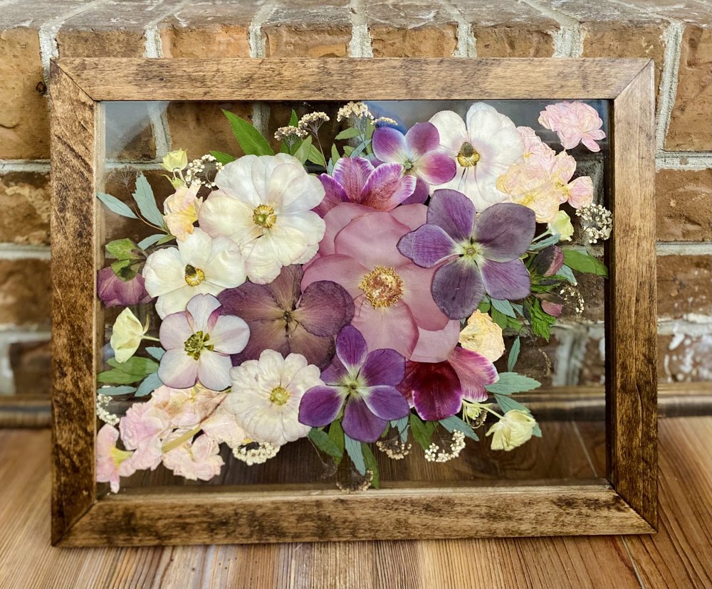 Botanical art by Dani Sheldon
