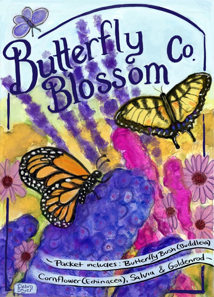 Work by Debra Styer